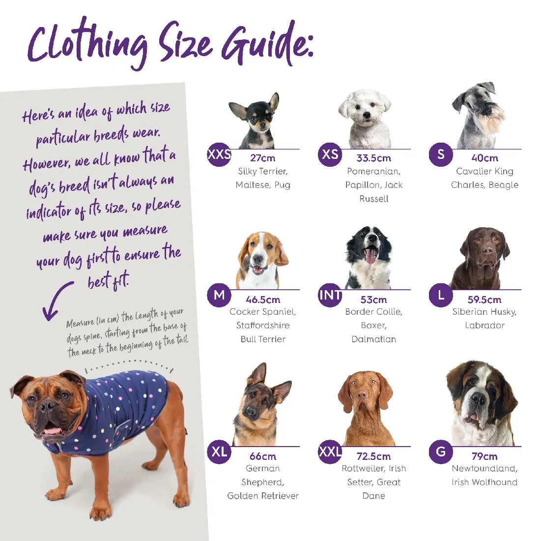 1 Pet X Kazoo Dog Rug Blue Gum Coat Navy
