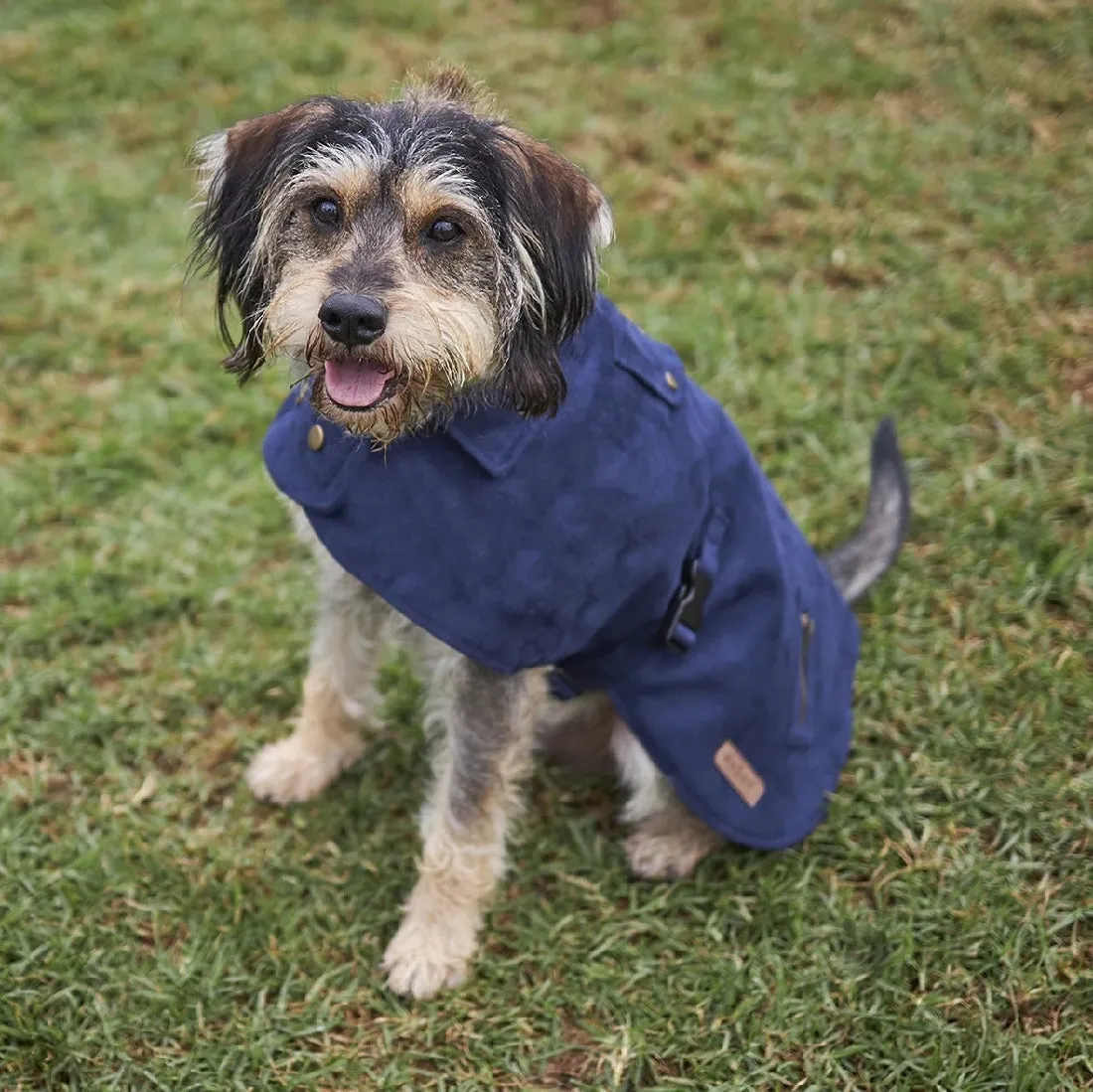 1 Pet X Kazoo Dog Rug Blue Gum Coat Navy