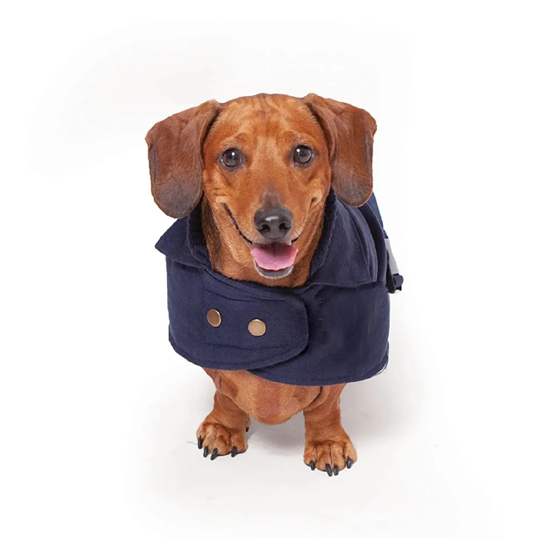 1 Pet X Kazoo Dog Rug Blue Gum Coat Navy