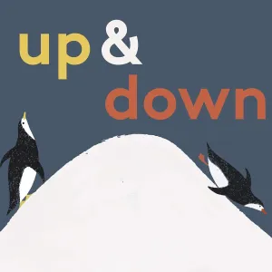 Up & Down - Hardcover